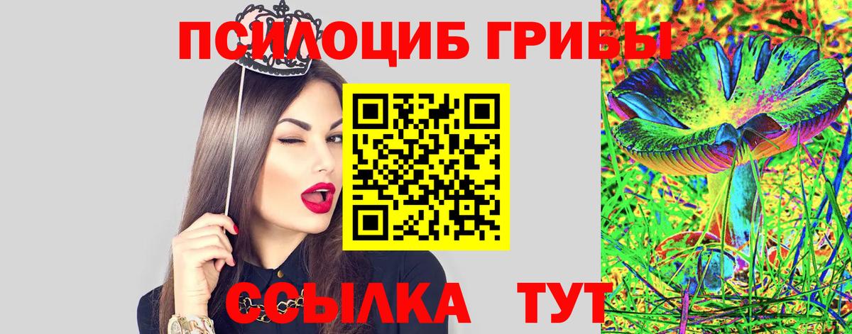 Пушкино  Псилоцибиновые грибы мухоморы  Вход с VPN  Псилоцибиновые грибы мухоморы 