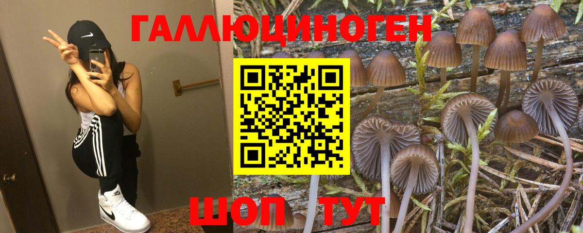 Галлюциногенные грибы мицелий Пушкино
